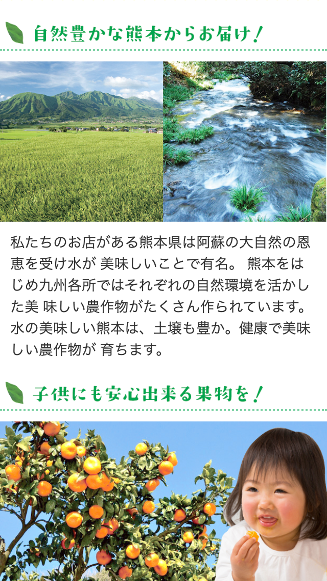 九州おもてなしフルーツ村サイトのスマートフォン表示