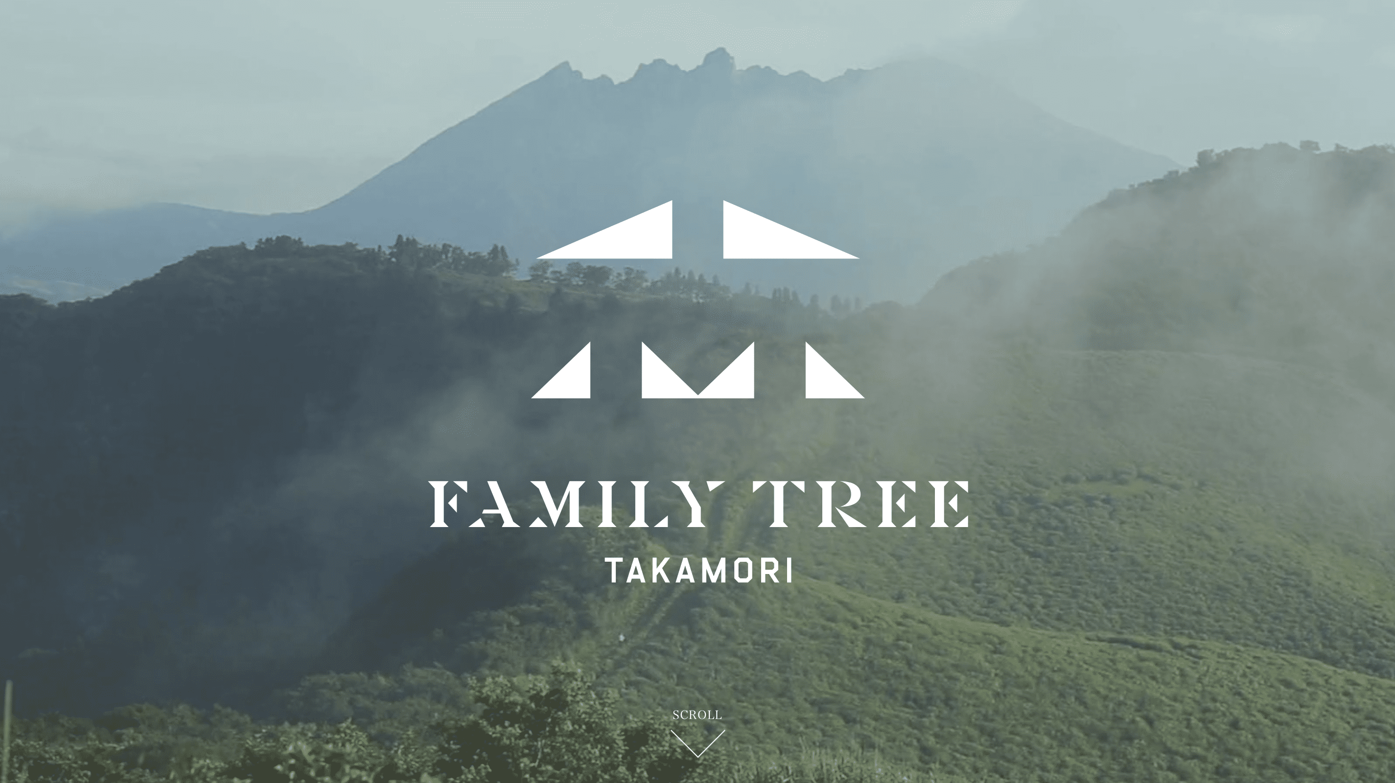 FAMILY TREE TAKAMORIサイトのパソコン表示